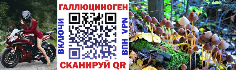 Галлюциногенные грибы Cubensis  Купить где  Алагир 